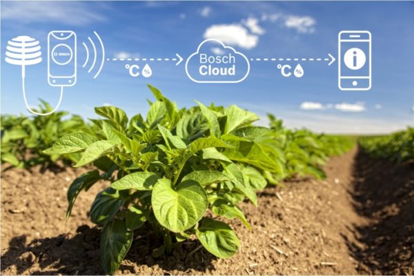 Bosch-field_monitoring_kartoffelfeld_grafik_img_h720-600x400