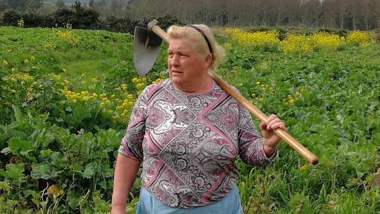 agrotissa