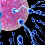 Επηρεάζει ο κορωνοϊός τη γονιμότητα; Τι έδειξε έρευνα για την ποιότητα του σπέρματος