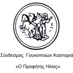 Η γούνα σε πρώτο …πλάνο στην 84η  ΔΕΘ – HELEXPO