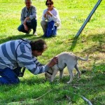 ΚΑΣΤΟΡΙΑ: 3ος Πανελλήνιος Διαγωνισμός Τρουφόσκυλων (σειρά φωτογραφιών)