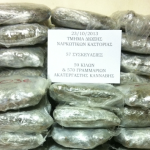 Σύλληψη τριών αλλοδαπών στην Ιεροπηγή Καστοριάς  για εισαγωγή ναρκωτικών ουσιών