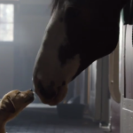 Το κουτάβι και το άλογο: Αυτή είναι η διαφήμιση της χρονιάς (ΒΙΝΤΕΟ)