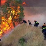 ΔΗΜΟΣ ΚΑΣΤΟΡΙΑΣ: « Λήψη Μέτρων Πολιτικής Προστασίας για Αντιμετώπιση Δασικών Πυρκαγιών»