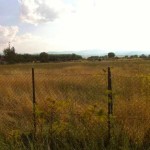 Καστοριά: Τι βλέπετε στη φωτογραφία;