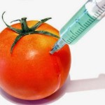 ΚΑΣΑΠΙΔΗΣ:Αδυναμία ελέγχου από το Γενικό Χημείο του Κράτους ύπαρξης γενετικά τροποποιημένων οργανισμών στα τρόφιμα