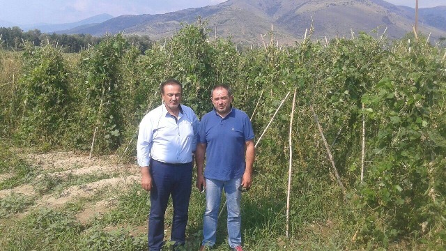 Prespa