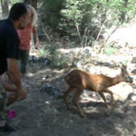 Καστοριά: Στο καταφύγιο του Βουνού ο “Κούλης ο γλυκούλης” (ρεπορτάζ)
