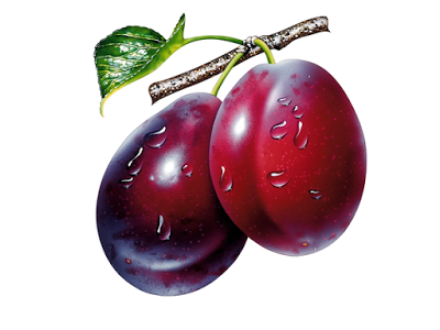 1295219303107672724ws_plums_1600x1200-hi.png