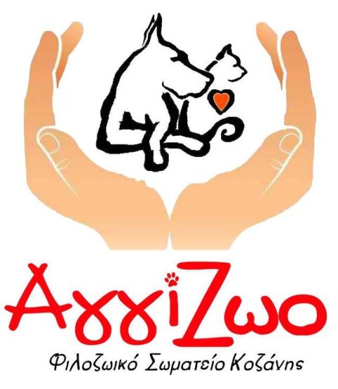 252798_197946243585712_5519442_n