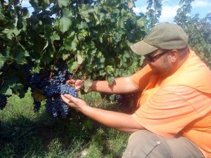 403953_361856547173264_1858813132_n