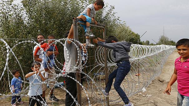 606x340_312671.jpg1441115041