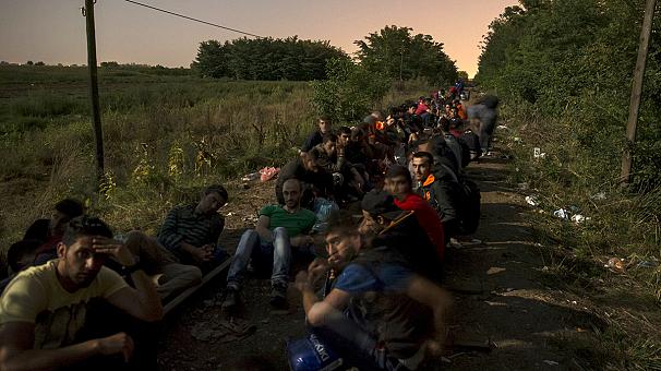 606x340_312719.jpg1441186382