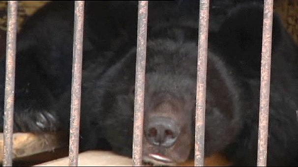 606x340_312769.jpg1441212720