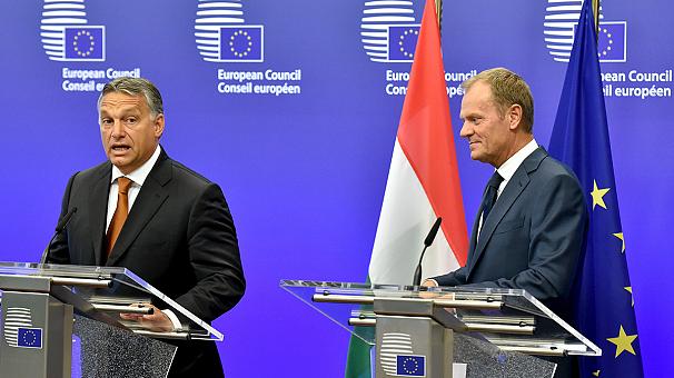 606x340_312817.jpg1441274545