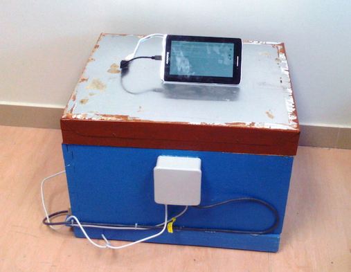 melisourgia15tei.JPG