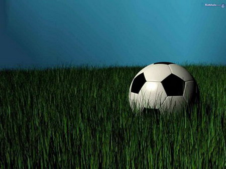 soccer203.jpg