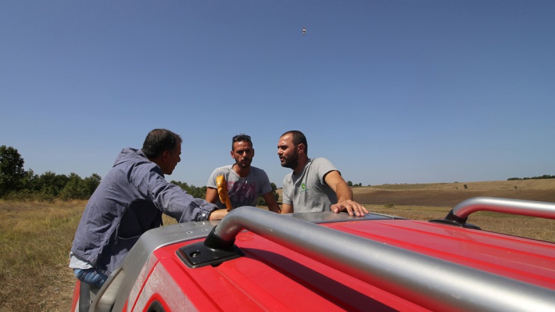 stavros_grevena_slide109