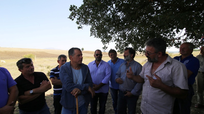 stavros_grevena_slide117