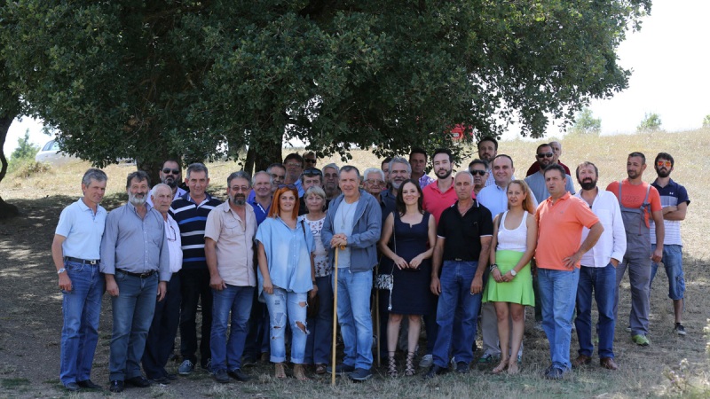 stavros_grevena_slide119