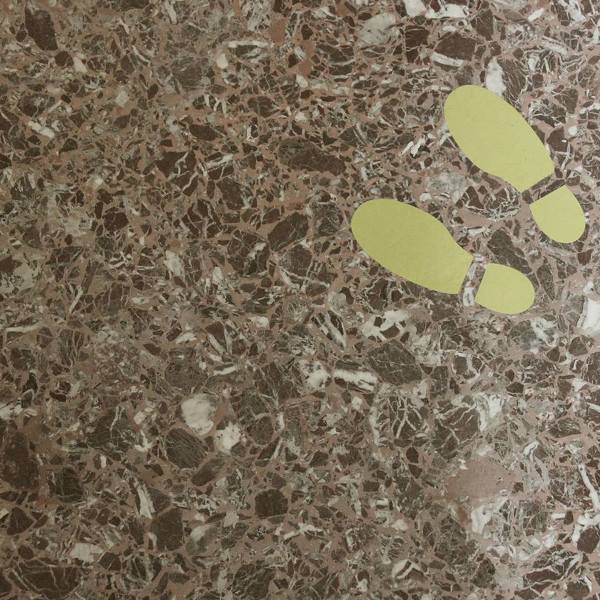 12092402_10206810712802719_1152583012_n