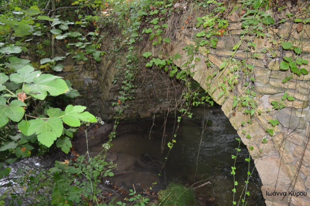 12170793_721802351283470_138207742_o