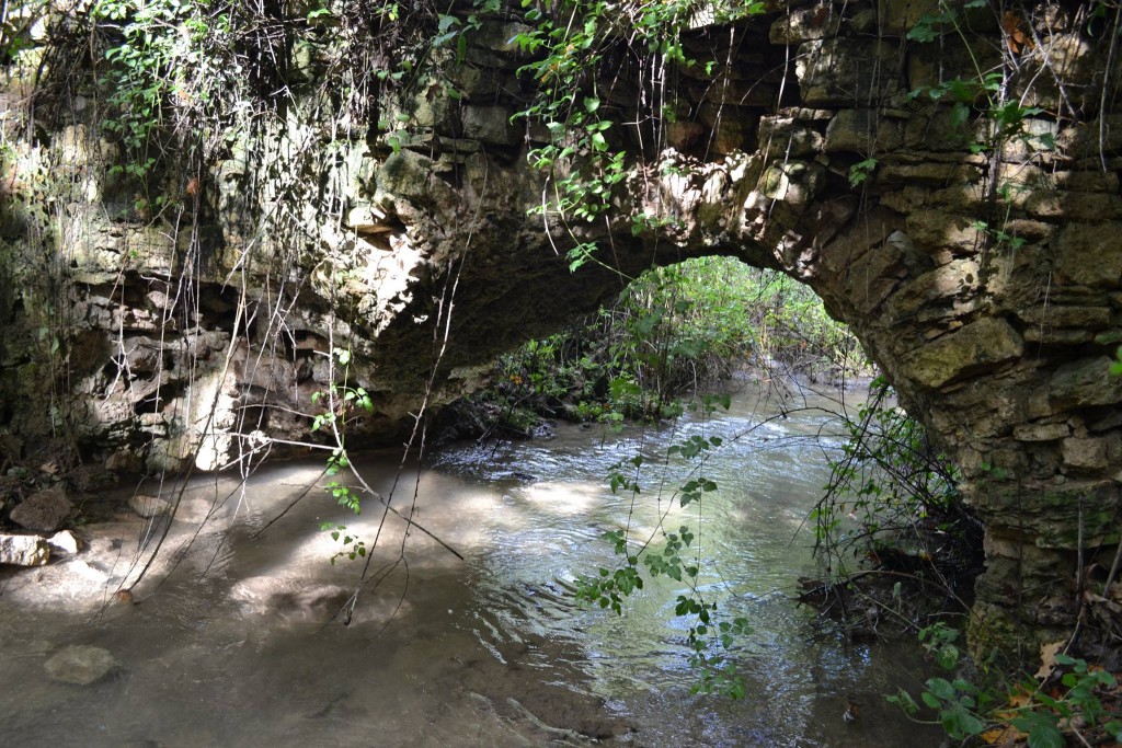 12170862_721802521283453_1700140984_o