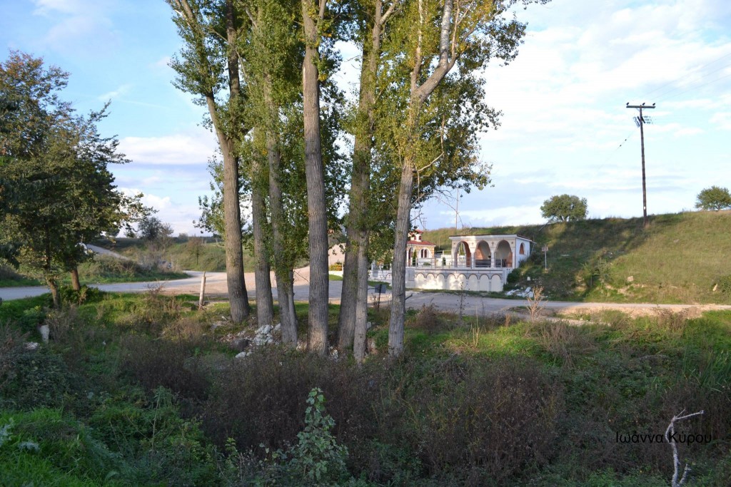 12171563_721802527950119_370775232_o