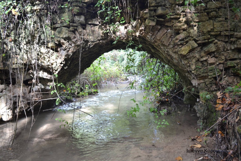 12177269_721802507950121_242411857_o