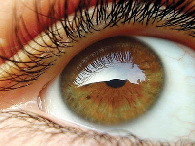 449922-Eye-1349936095-794-640x480.jpg