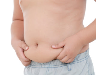 Fat.article.jpg