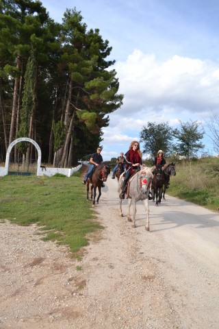 FormatFactoryDSC_0506