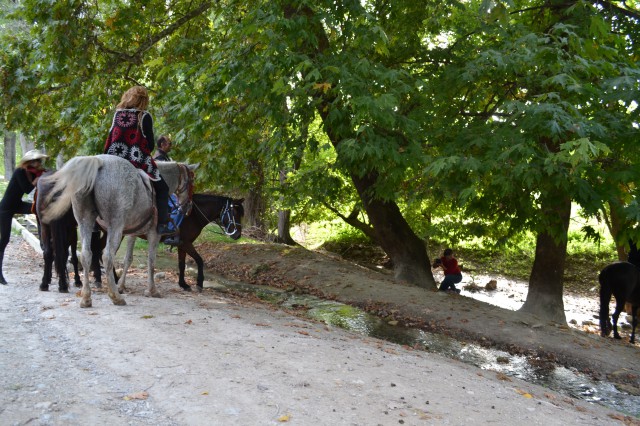 FormatFactoryDSC_0523