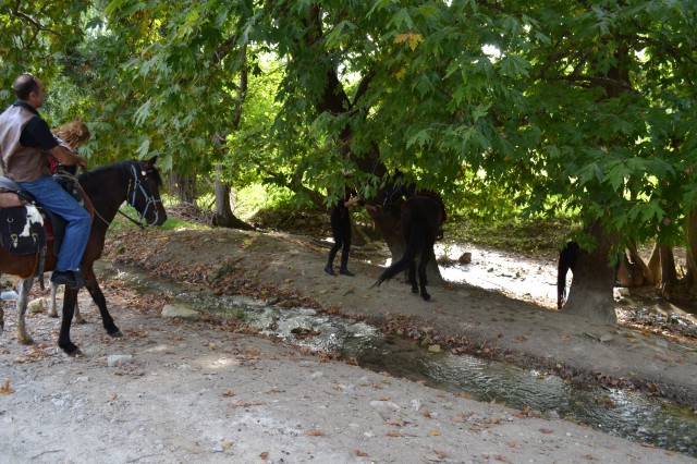 FormatFactoryDSC_0525