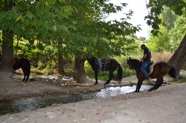 FormatFactoryDSC_0527