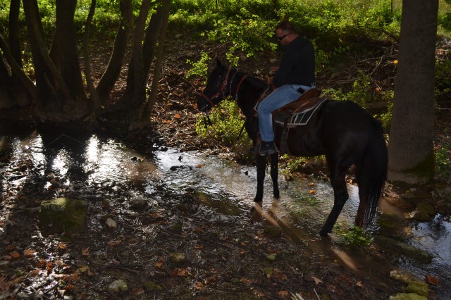 FormatFactoryDSC_0529