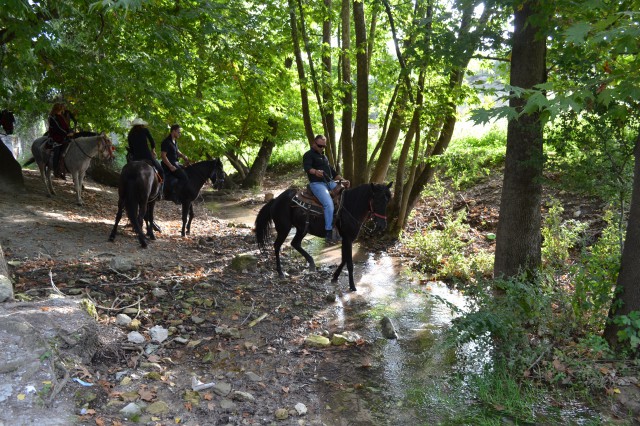 FormatFactoryDSC_0531