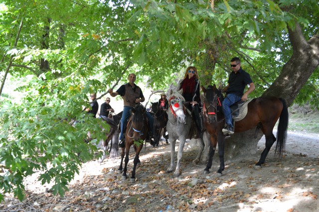 FormatFactoryDSC_0533