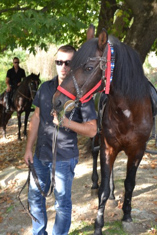 FormatFactoryDSC_0536