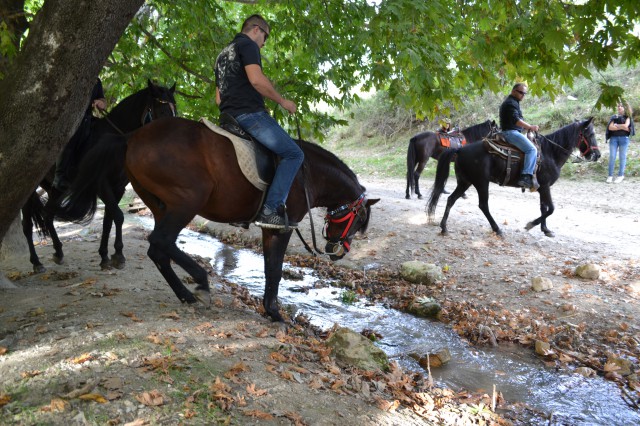 FormatFactoryDSC_0544