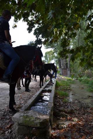 FormatFactoryDSC_0548