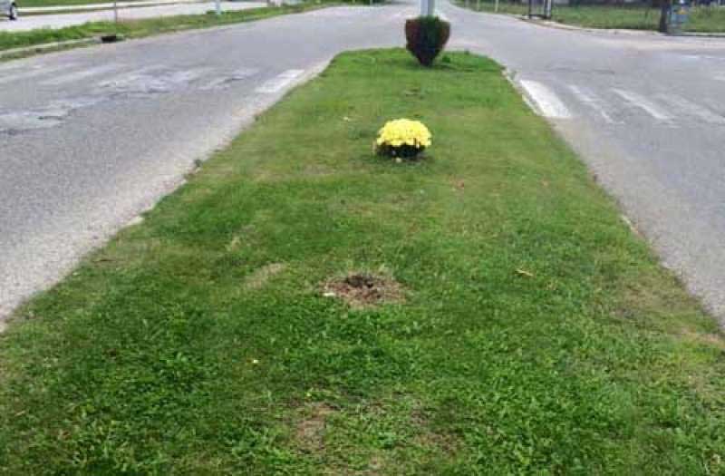 eade699de38bbb3b3362155b382fcf17_XL