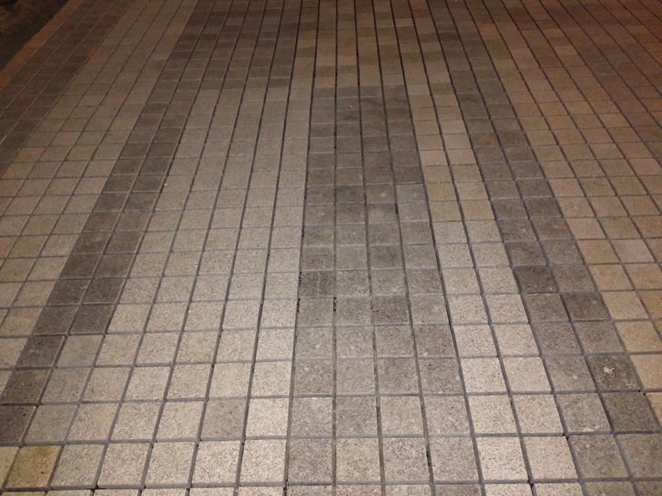 1794659_10207910914271053_687326384027685779_n