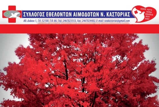 aimodosia_29_1_15