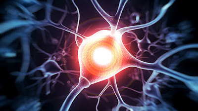multipleSclerosis_tcm1494_132043.jpg