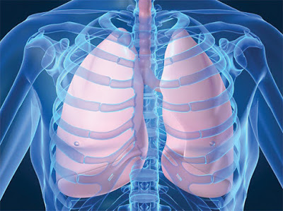 pneumonia.jpg
