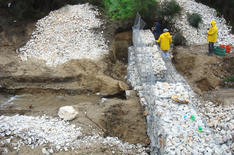 12308228_10208505146525418_1773418743043948950_n