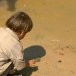 Βολιβία: 100 χιλιάδες χελώνες στον Αμαζόνιο