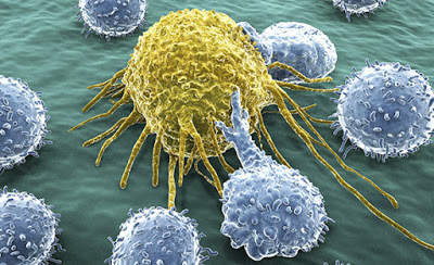 Immuno-oncology-landscape.jpg