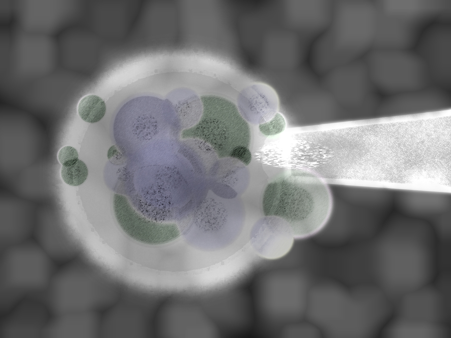 bigstock-Grey-Purple-D-Organic-Cell-Bo-3527202.jpg